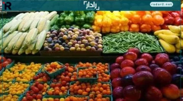 أسعار البطاطس.. أحدث تحديثات أسعار الخضروات في الثلاثاء 16 ديسمبر 2025